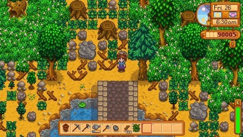 星露谷物语农场中心湖可行走大桥MOD 永远de轨迹版
