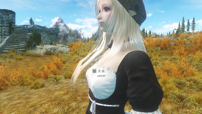 《上古卷轴5天际》天然型-穿越天际的少女-希米娅MOD