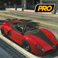 Real Car Game Pro中文汉化版