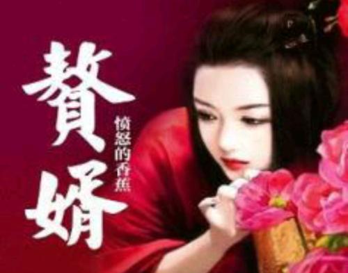 史上最强赘婿最新版