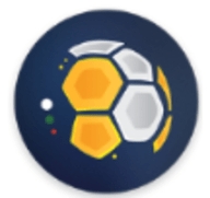 FPL幻想经理中文汉化版