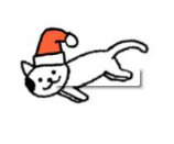 Cats are Cute安卓最新版