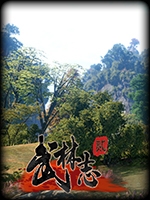 武林志2官方版