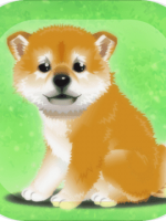 养育柴犬的治愈游戏中文汉化版