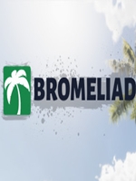 Bromeliad中文汉化版