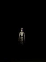 mono.exe中文版