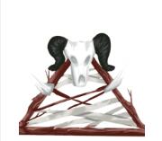 部落模拟器安卓版