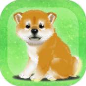 养育柴犬的治愈游戏去广告版
