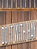 DoItWithHay完整存档版