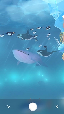 水族馆
