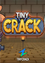 TinyCrack完整存档版