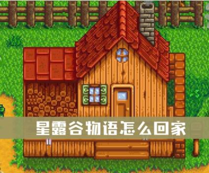 星露谷物语快速回家攻略