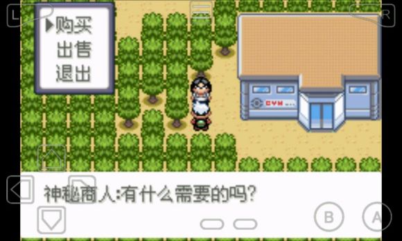 口袋妖怪永恒之沫3.0一周目图文攻略