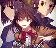 魔法使之夜中文版