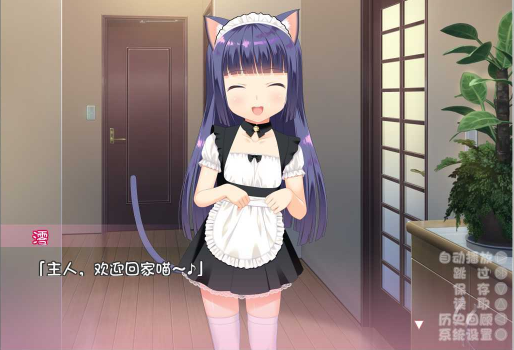 与小奶猫创造家族直装版