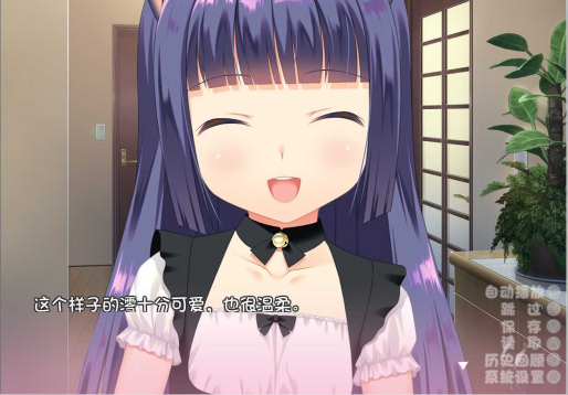 与小奶猫创造家族直装版