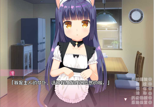 与小奶猫创造家族直装版
