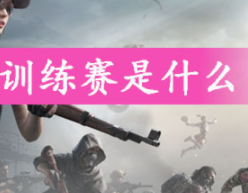 和平精英训练赛玩法攻略