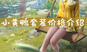 和平精英小黄鸭套装价格一览