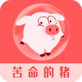 淘疯了