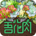 吾花肉