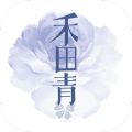 禾田靑