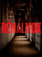 Remalmok中文傻瓜包