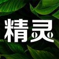 精灵之泉