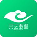 麦珠宝