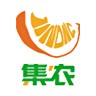集农网