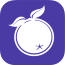 Aronia