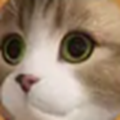糖果铃铃猫最新版