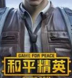 和平精英投掷物燃烧瓶详情介绍