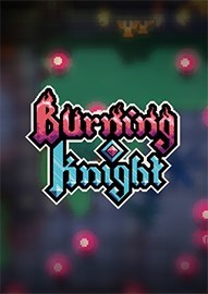 燃烧骑士剧情版