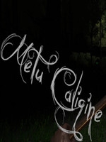 MetuCaligine绿色免安装版