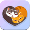 我的猫舍最新版