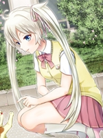 如何约会一个神奇的女孩中文傻瓜包