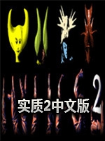 实质2中文傻瓜包