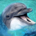 海洋动物模拟器免费版