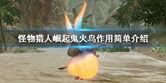 怪物猎人崛起鬼火鸟的作用图文详解