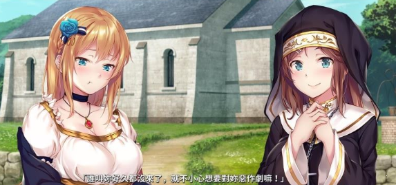 绝望与崩溃的鬼畜无尽轮回汉化版