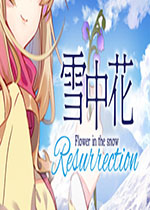 雪中花未加密直装版