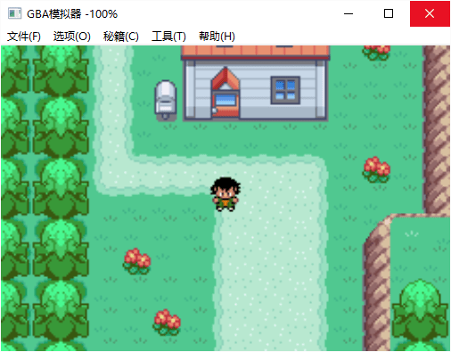 口袋妖怪圣灰中文汉化版