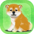 养育柴犬的治愈游戏最新版