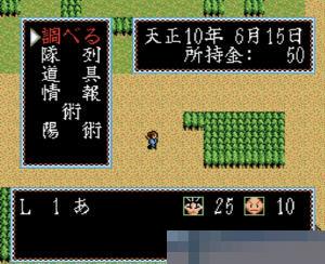 超级伊忍道中文版