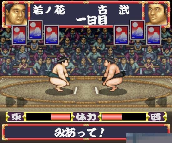 若贵大相扑中文绿色版