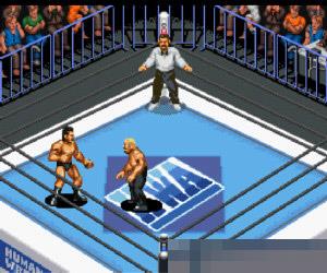 超火爆摔角超值版 (Super Fire Pro Wrestling X Premium ) 日版手机版
