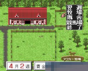 德贝育马3-1.2中文版