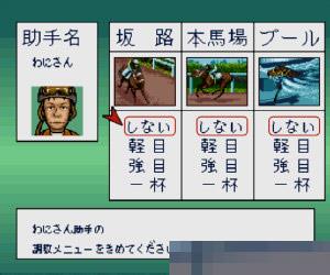 育马物语2中文汉化版