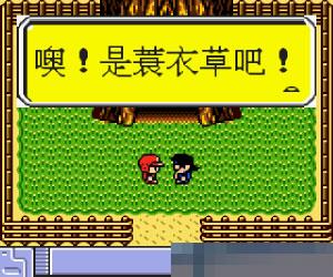 口袋妖怪-翡翠手机版